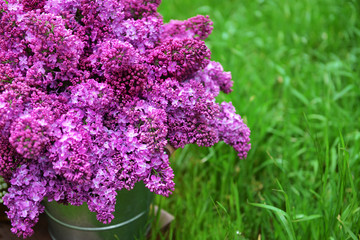 Purple lilac on green grass background