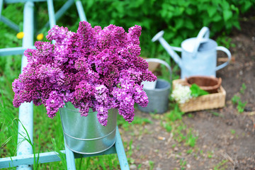 Purple lilac on green bench
