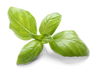 Basil leaves, isolated on white