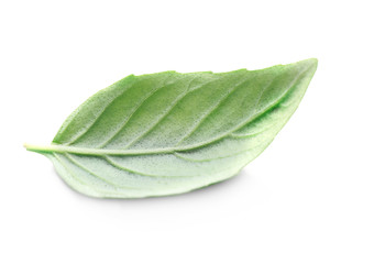 Basil leaf, isolated on white