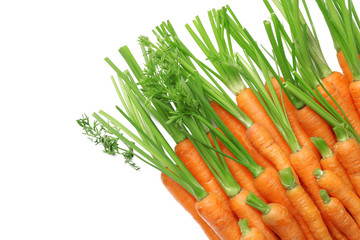Carrots on white background
