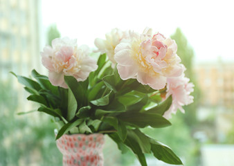 Peony bouquet on blurred background