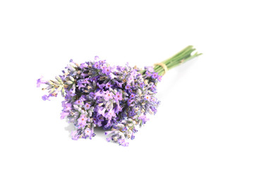 Tied bunch of lavender flowers on white background