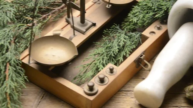Chi Ho&agrave;ng đ&agrave;n Sipris Servi Նոճի ברוש Cupressus צמחי מרפא Cipresso سرو Cipr&eacute;s Zypressen Cyprys Erboristeria Cypress Herbalism Herbolog&iacute;a Pflanzenheilkunde Ziołolecznictwo Herboristerie تداوي بالأعشاب 