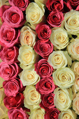 Fototapeta na wymiar Roses in different shades of pink, bridal arrangement