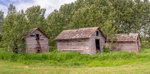 Obraz premium Old farm sheds on the prairies in Saskatchewan on a summer day.