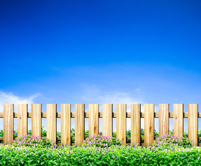 Fototapeta premium Green grass and wood fence on blue sky background