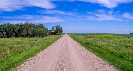 Fototapeta na wymiar A country road in Saskatchewan in the summer.