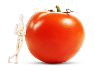 Man stands by a huge ripe tomato. Abstract image with a wooden puppet