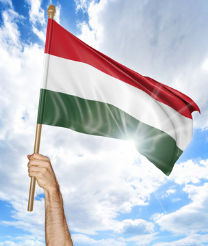 Person's hand holding the Hungarian national flag and waving it in the sky, 3D rendering