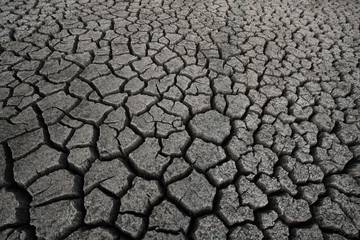 Background of dry cracked soil dirt