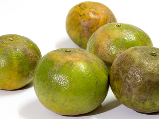orange fruits on white background