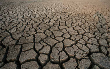 Background of dry cracked soil dirt