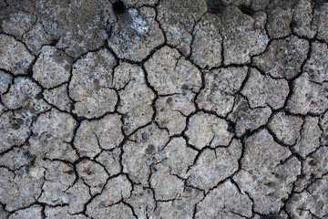 Background of dry cracked soil dirt or earth during drought