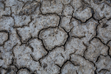 Background of dry cracked soil dirt or earth during drought