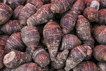 pile of taro for retail sale in local market. background of fres