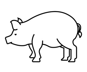 pig farm isolated icon design