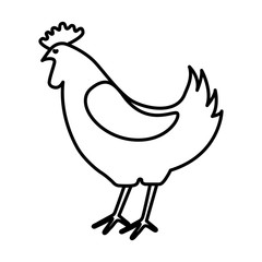 chicken farm isolated icon design