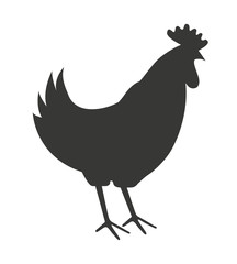 chicken farm isolated icon design
