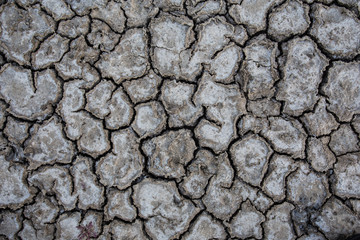 Background of dry cracked soil dirt or earth during drought