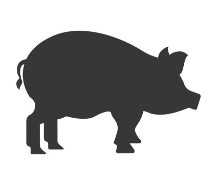 pig farm isolated icon design