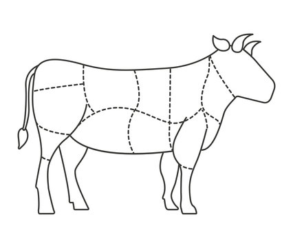cow meat isolated icon design