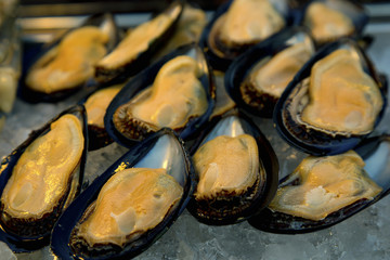 Green mussels background/ seafood platter/ seafood dish