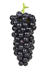 Black grape isolated on the white background