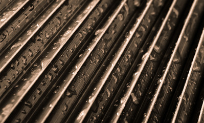 Sepia toned abstract palm leaf with water drops on it.