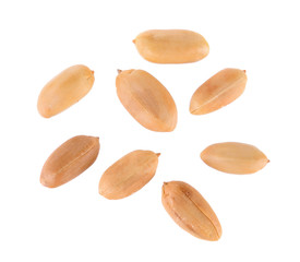 Obraz premium peanuts seeds isolated on white background