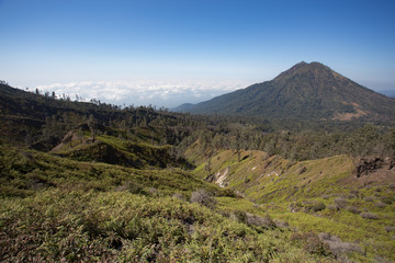 View from the tropical forest with path to the volcano Kawah Ije