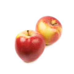 Ripe red and golden jonagold apple