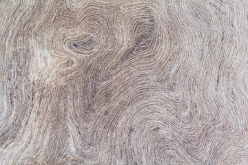 Texture of old wood background