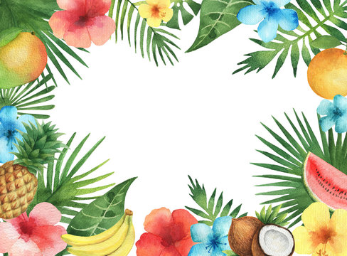 Watercolor illustration of the tropical plants and fruits.