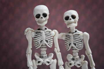 Skeleton friends