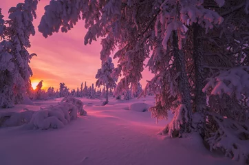 Fotobehang Winterlandschap met bos, bewolkte lucht, zon, zonsondergang en bomen © Olonkho