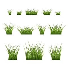 Green grass bushes set. Nature plant background. Collection silhouettes isolated on white. Symbol of field, lawn, spring and meadow, fresh, summer. Elements for design environment. Vector illustration