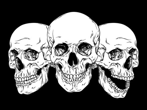 Naklejki Hand drawn line art anatomically correct human skulls set isolated vector illustration