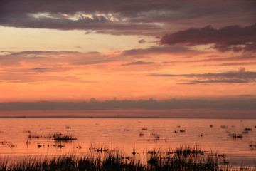 Sea shore during sunset