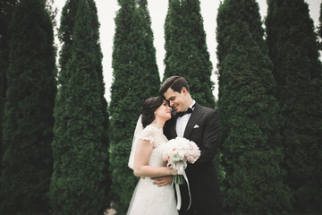 Beautiful romantic wedding couple of newlyweds hugging in park on sunset
