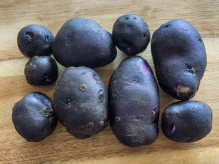 Blue potatoes fresh from the garden