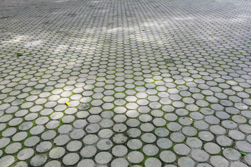 Concrete, cement block floor of pathway at park
