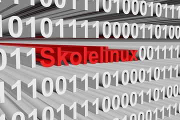 Skolelinux as a binary code 3D illustration