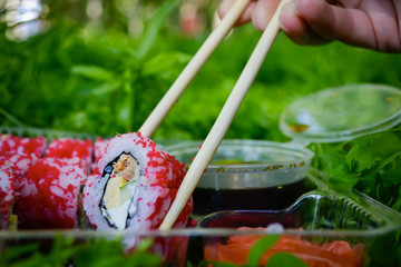 Picnic. Sushi outdoors on a summer day. Day off in the park