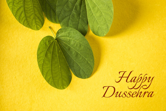 indian festival dussehra, showing golden leaf with traditional indian sweets pedha in silver bowl on yellow background, greeting card