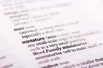 Close up of words in a dictionary
