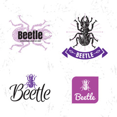 Vector colorful set with forest stag-beetle. The white beetle as main element of logotypes on white background. Engraves vector design graphic element, emblem, logo, sign, identity, logotype