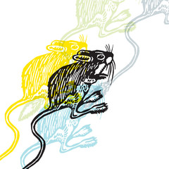 Vector Illustrated Jerboa in engraved technic on white background