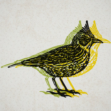 Vector Illustrated Lark Bird In Engraved Technic On Old Paper