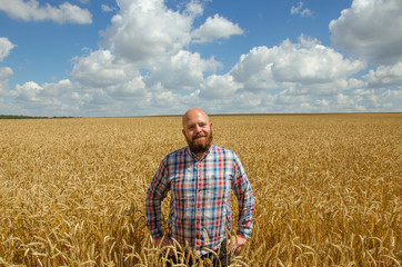 Naklejka na ściany i meble Happy smiling successful caucasian thirty years old farmer standing proud in front of his wheat fields.